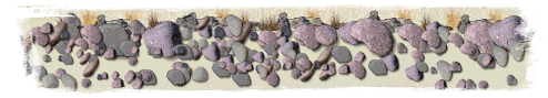 A bunch of rocks
