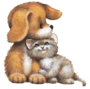 Hugging animals