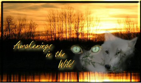Awakenings in the Wild