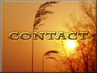 Contact Sue