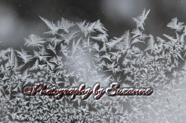 Frost