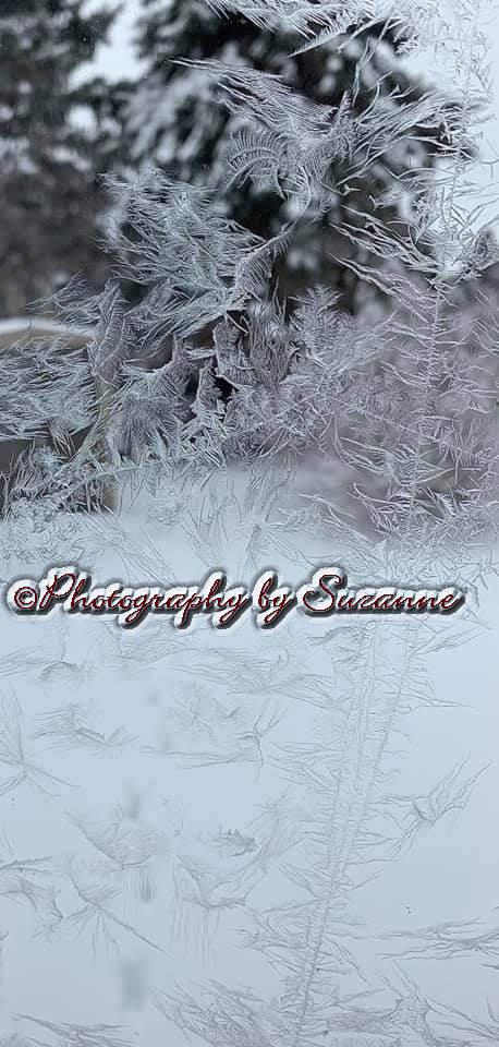 Frost